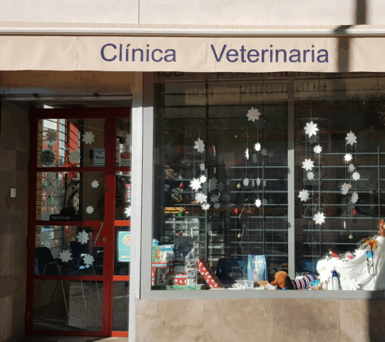 Cerro del Aguila Veterinary Clinic