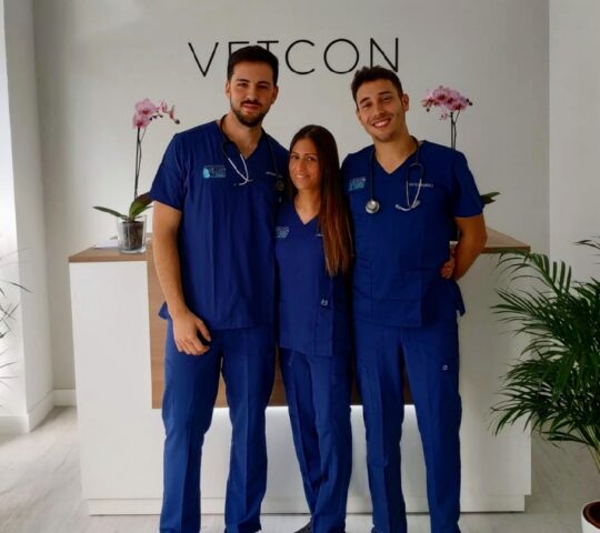 VETCON Veterinario Animales Exóticos