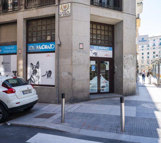 Hospital Veterinario Los Madrazo