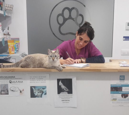 Avenida del Puerto 200, Clínica Veterinaria