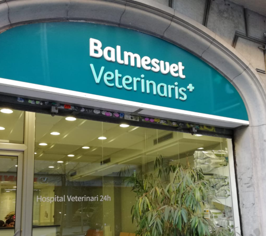 Balmesvet Veterinaris Hospital 24h