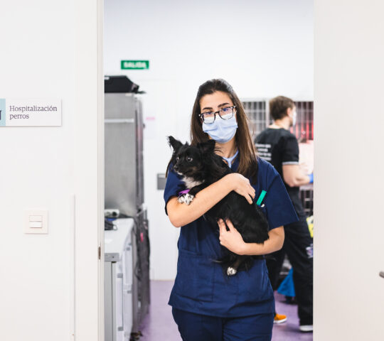 AniCura Valencia Sur Hospital Veterinario