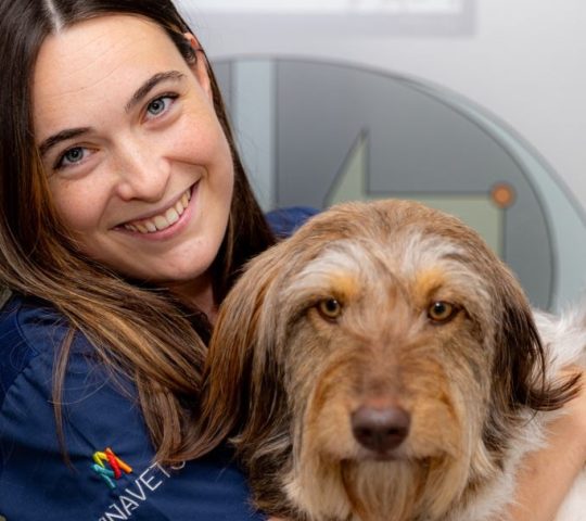 Clínica Veterinaria Ruzafa