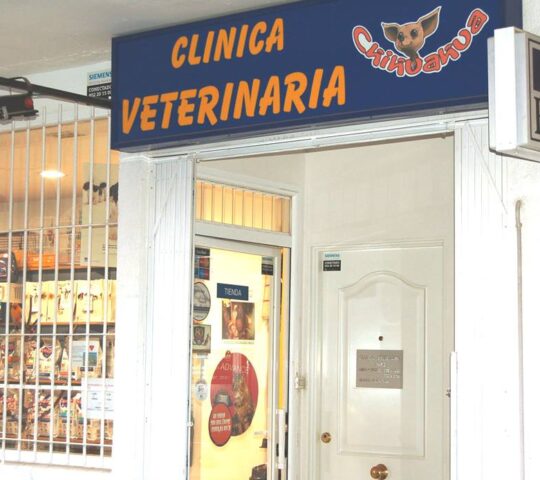 Chihuahua Veterinary Clinic