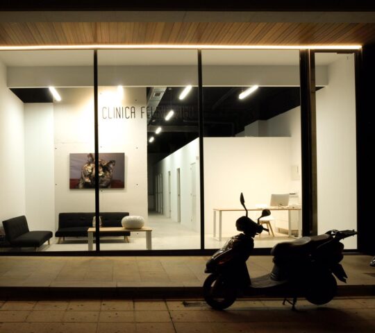Clínica Felina Vigo (Vigo)
