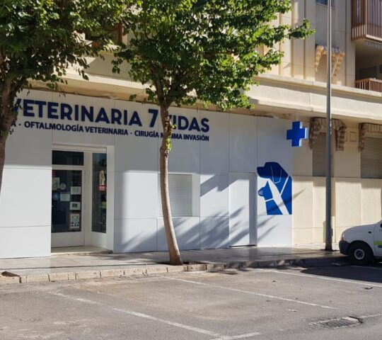 Clínica Veterinaria 7 Vidas