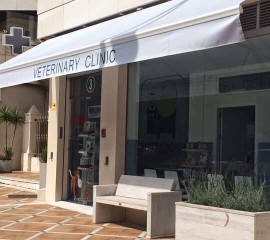 Clinica Veterinaria ANIMALOGIC