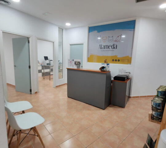 Clínica Veterinaria Alameda Urgencias telefonicas 24H
