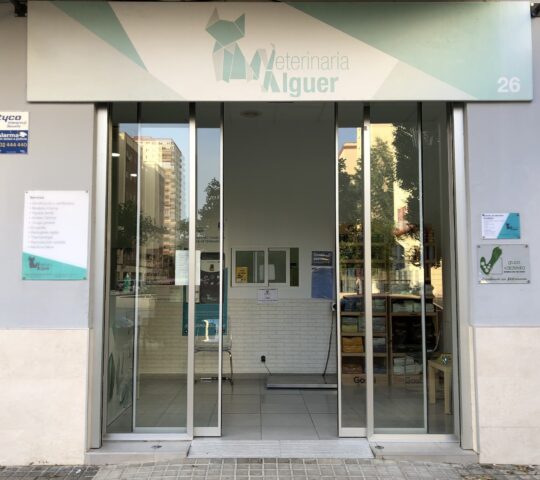 Clínica Veterinaria Alguer Clínica Veterinaria Alguer