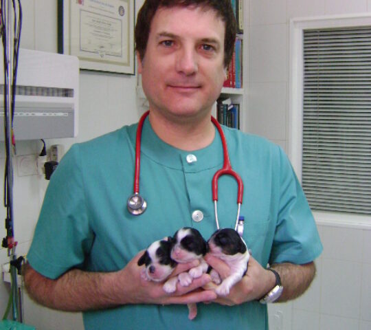 Clínica Veterinaria Alierta