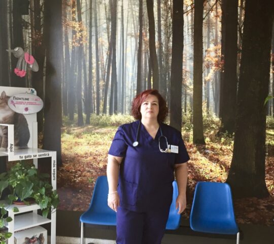 Clinica Veterinaria Alquín