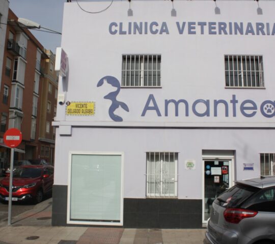 Clínica Veterinaria Amantea