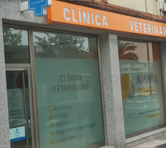 Clínica Veterinaria Animal Core
