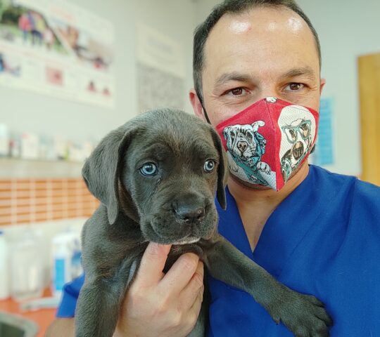 Clinica Veterinaria Argos