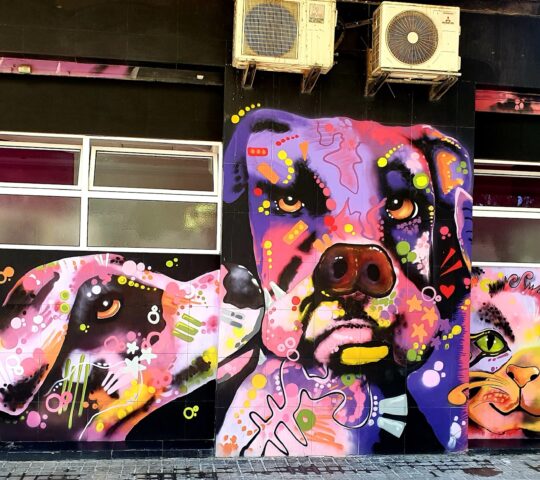 Clinica Veterinaria Atalaya