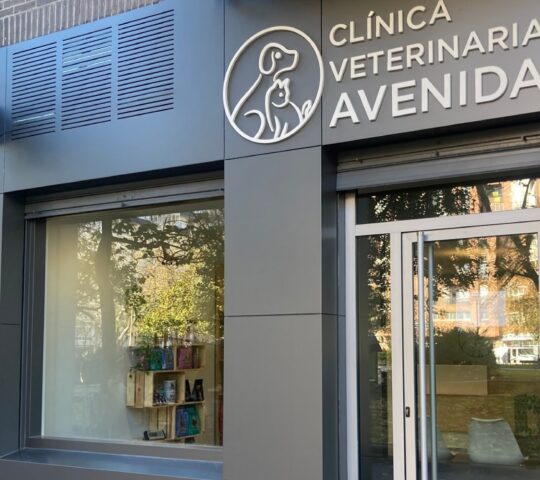Clínica Veterinaria Avenida Clínica Veterinaria Avenida