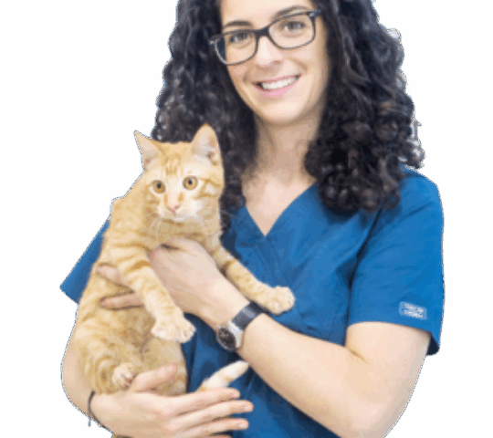 Clínica Veterinaria Bahía