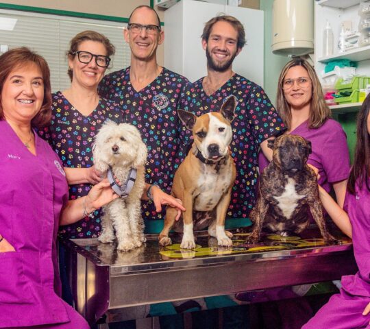 Clinica Veterinaria Bendinat