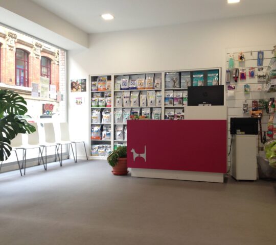 Clínica Veterinaria Campo Volantín | MiVet