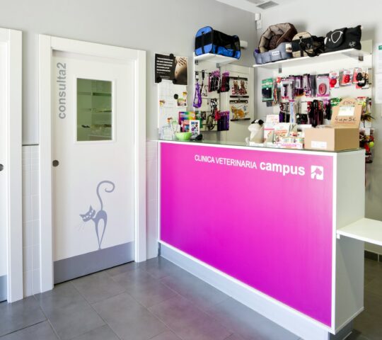 Clínica Veterinaria Campus