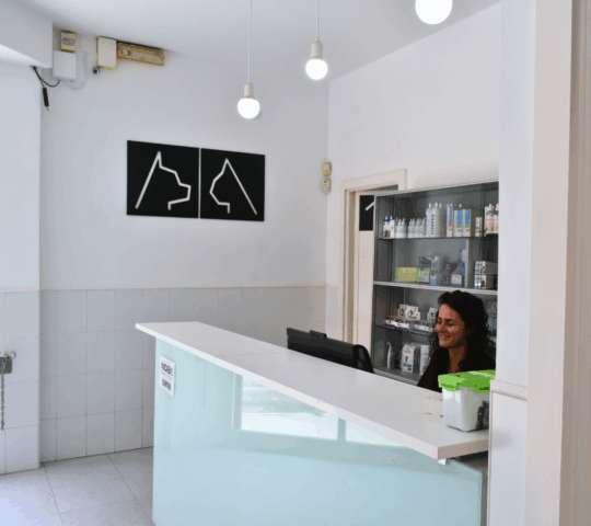 Clínica Veterinaria Canis – Palma de Mallorca