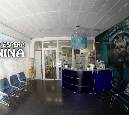 Clínica Veterinaria Carteros Clínica Veterinaria Carteros