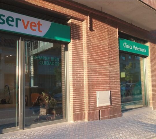 Clínica Veterinaria Caservet Arganzuela Clínica Veterinaria Caservet Arganzuela