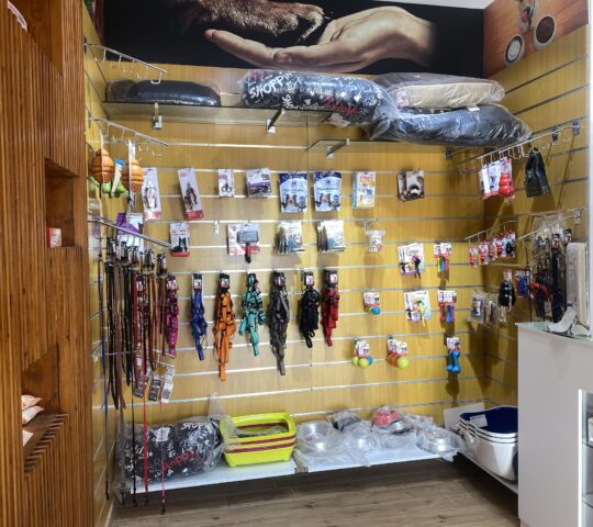 Clinica Veterinaria CityVet