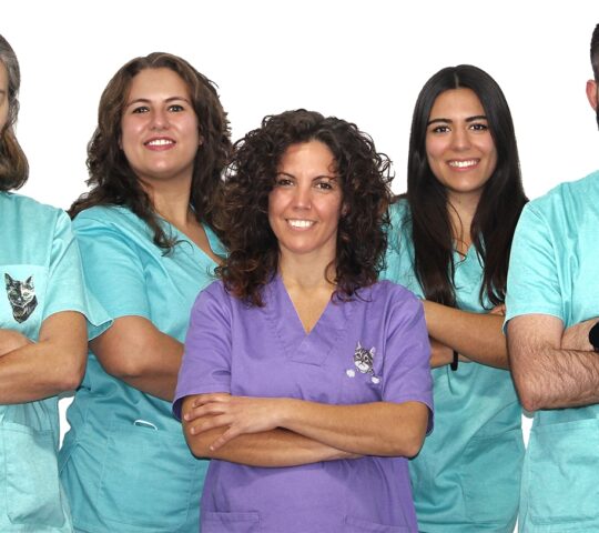 Clínica Veterinaria Ciudad de Badajoz