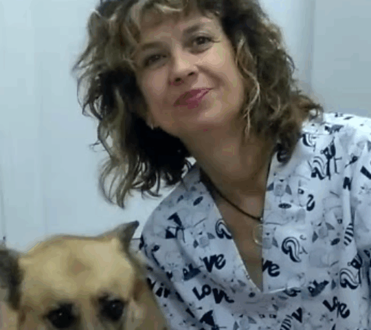 Clínica Veterinaria Cortijo Grande