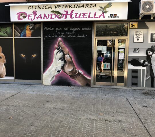 Clinica Veterinaria Dejando Huella Sevilla