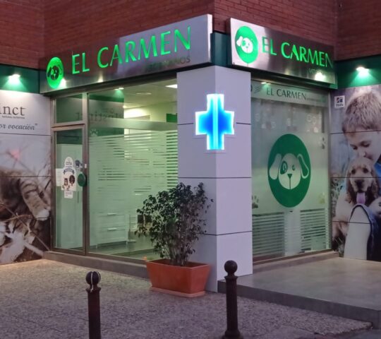 Clínica Veterinaria El Carmen S.L.