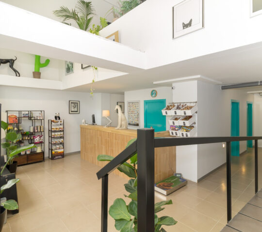 Clínica Veterinaria El Cau