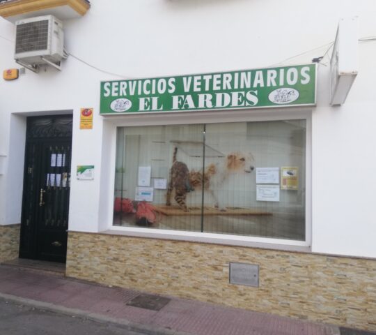 Clínica Veterinaria «El Fardes» Clínica Veterinaria «El Fardes»