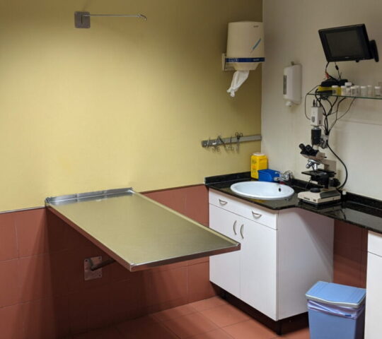 Clínica Veterinaria Elvira