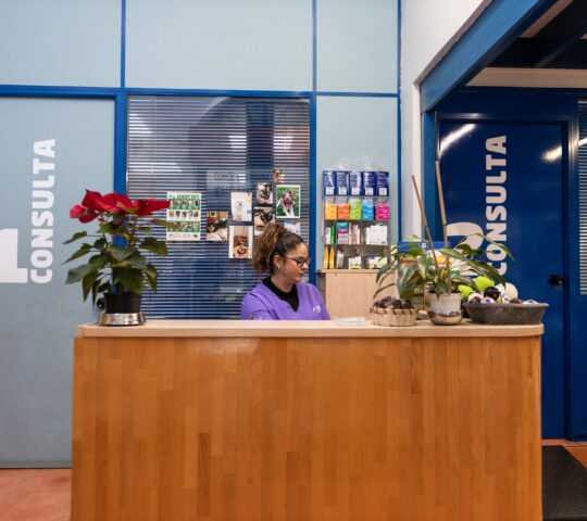 Clínica Veterinaria Ensanche