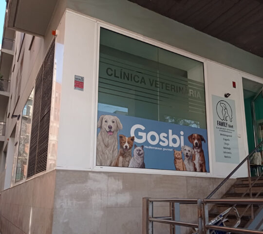 Clínica Veterinària Family Vet