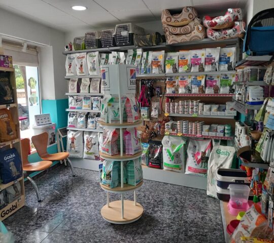 Clinica Veterinaria Floridablanca