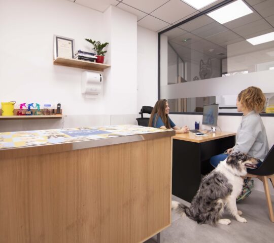 Clínica Veterinaria Goleta