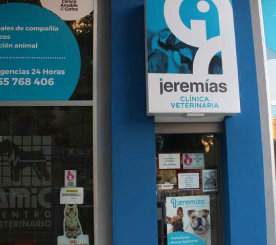 Clínica Veterinaria Jeremias AMIC