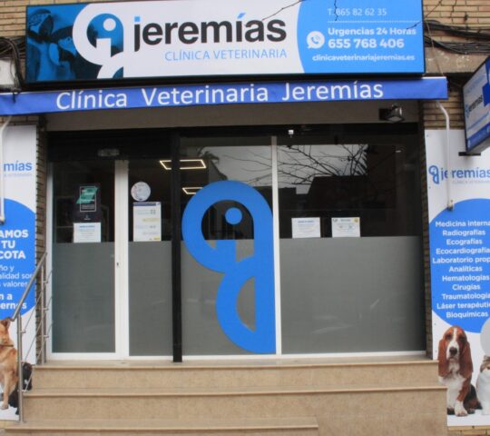 Clínica Veterinaria Jeremías Lumiares