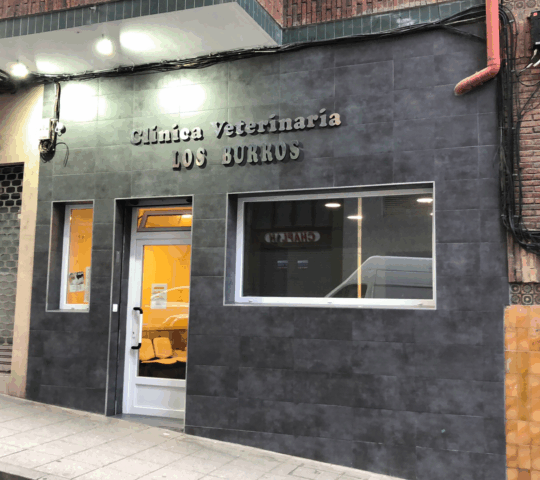 Clínica Veterinaria LOS BURROS