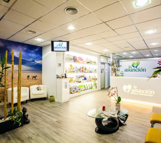 Clínica Veterinaria La Asunción