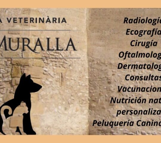 Clínica Veterinaria La Muralla Constantí