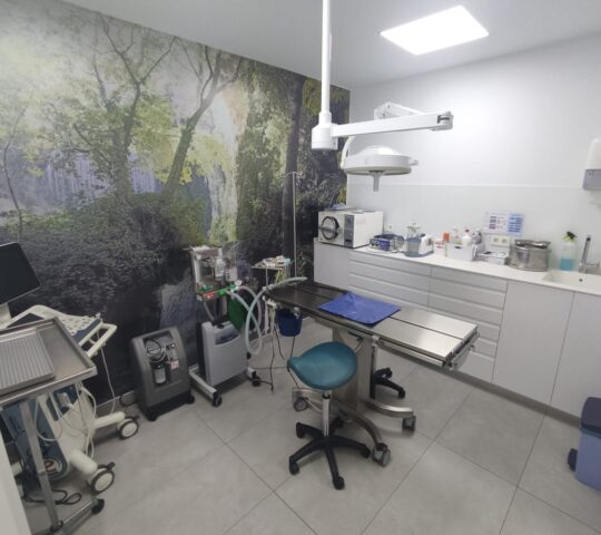 Clínica Veterinaria La Zubia