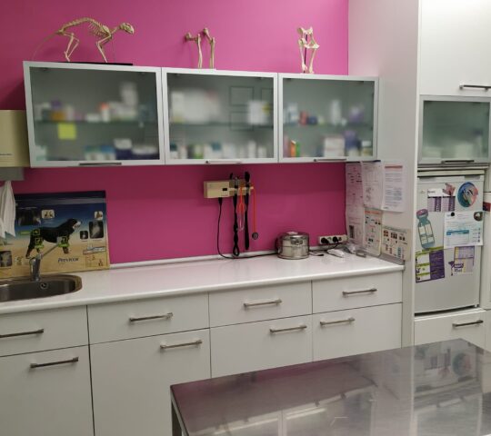 Clínica Veterinaria Leialak Clínica Veterinaria Leialak