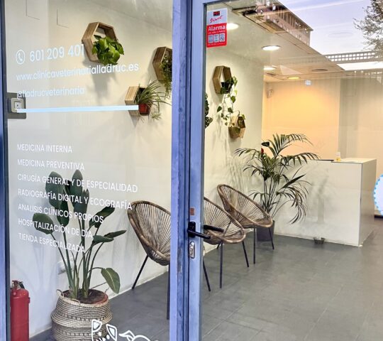 Clínica Veterinaria Lladruc Clínica Veterinaria Lladruc