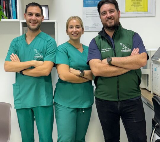 Clinica Veterinaria Mamiferos