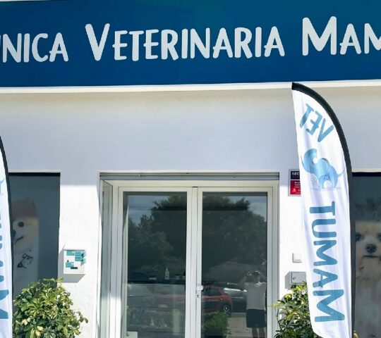 Clínica Veterinaria Mamut
