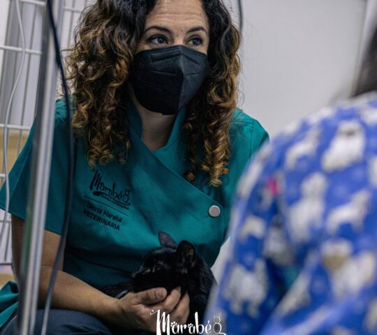 Clínica Veterinaria Marabé